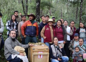 Hidalgo prioriza acciones a favor de su biodiversidad