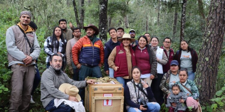 Hidalgo prioriza acciones a favor de su biodiversidad