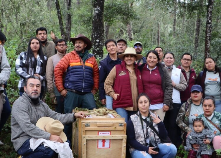 Hidalgo prioriza acciones a favor de su biodiversidad