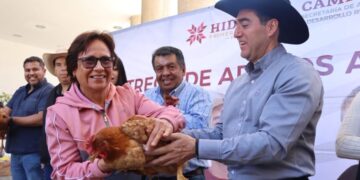 Con entrega de aves de doble propósito gobierno de Hidalgo fortalece la economía de las mujeres rurales