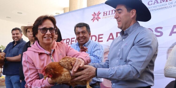 Con entrega de aves de doble propósito gobierno de Hidalgo fortalece la economía de las mujeres rurales