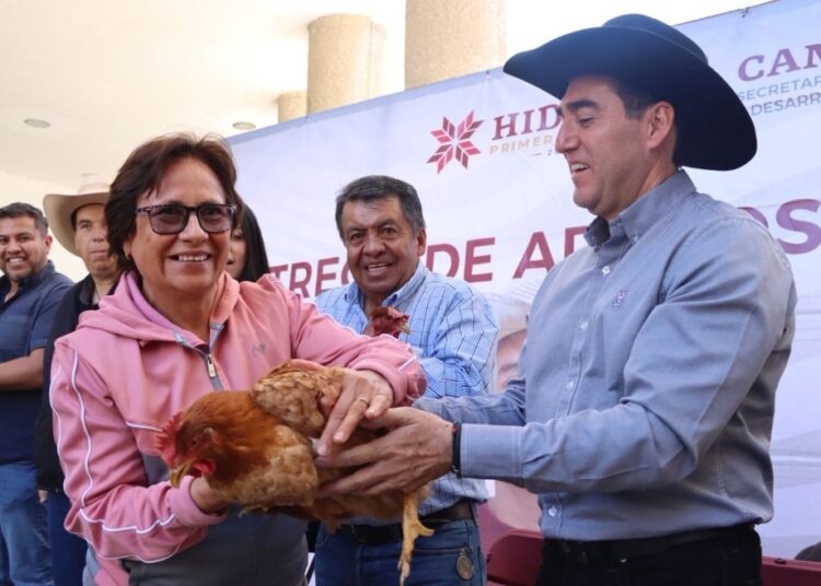 Con entrega de aves de doble propósito gobierno de Hidalgo fortalece la economía de las mujeres rurales