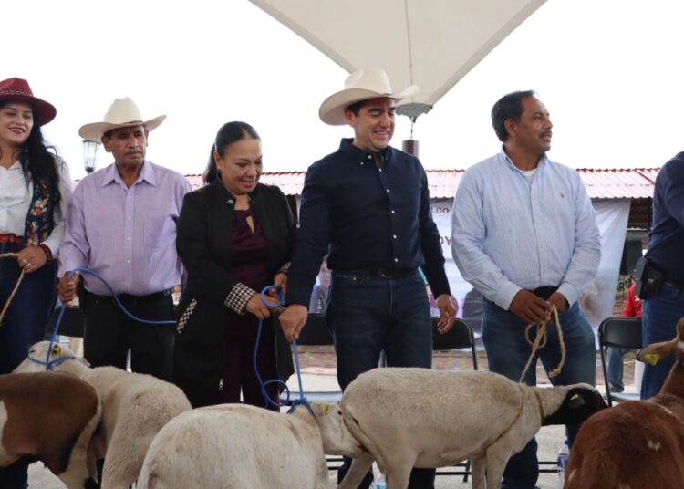 Gobierno de Hidalgo fortalece al campo con entrega de apoyos agrícolas y ganaderos en Tulancingo y Eloxochitlán