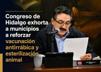 Congreso de Hidalgo exhorta a municipios a reforzar vacunación antirrábica y esterilización animal