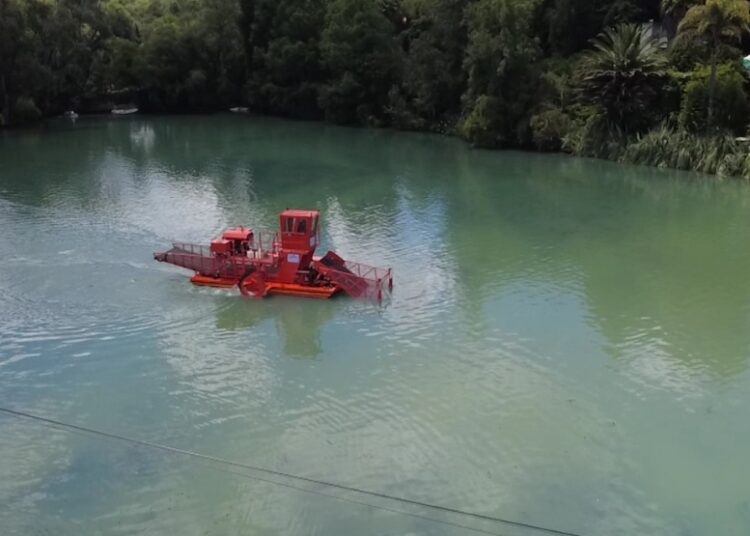 Hidalgo recupera la Presa Azul: retiran más de mil toneladas de lirio acuático en Huasca