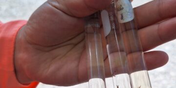 Fortalece Hidalgo acciones contra el dengue  y reduce 88.5 % los casos