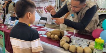 Brigadas de la Salud acercarán atención médica gratuita a Alfajayucan
