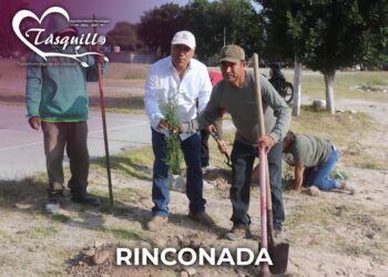 Tasquillo realiza primera jornada de reforestación en comunidades