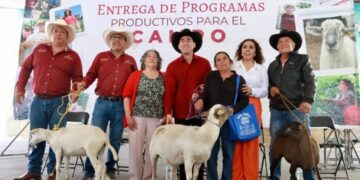 Impulsa Saderh la gandería hidalguense con entrega de vientres ovinos en Actopan