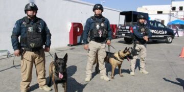 Mineral de la Reforma fortalece su Unidad K9 con profesionalización y compromiso por la seguridad