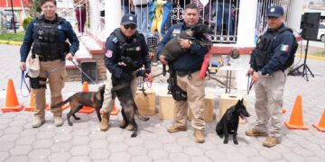 K9 de Mineral de la Reforma fortalece su equipo con enfoque en bienestar animal