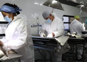 Aplicó SSH más de 2.5 millones de vacunas antirrábicas y realizó cerca de 140 mil esterilizaciones