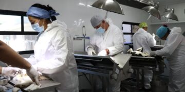 Aplicó SSH más de 2.5 millones de vacunas antirrábicas y realizó cerca de 140 mil esterilizaciones