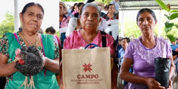 Fortalece Saderh a mujeres rurales e impulsa la producción cafetalera en San Felipe Orizatlán