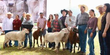 Saderh impulsa la productividad pecuaria en 23 municipios